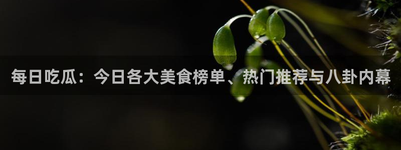 今日黑料信息汇总