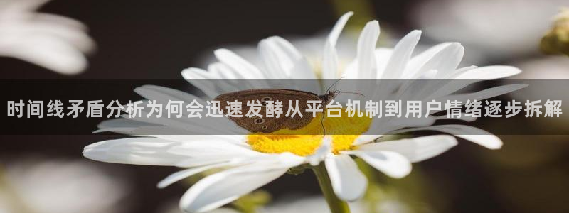 黑料揭秘后续进展