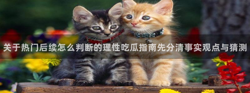 黑料最新消息