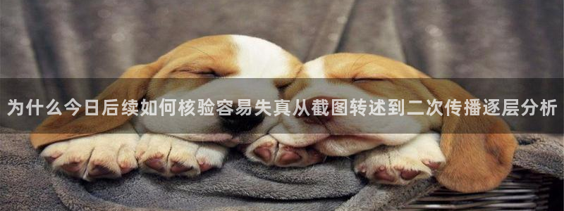 网络黑料完整时间线
