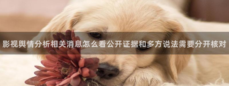 明星黑料真伪核验