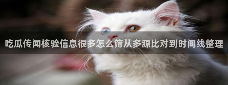 职场黑料完整时间线