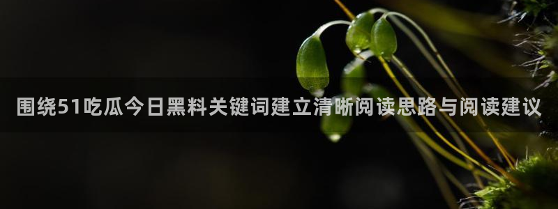 热门黑料证据梳理