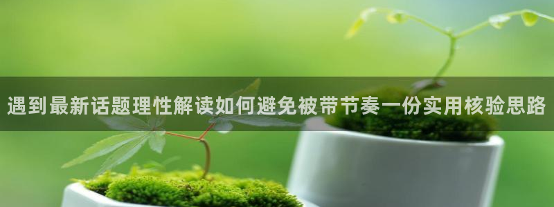 黑料后续进展