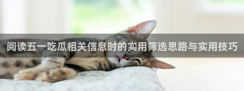 娱乐黑料真伪核验