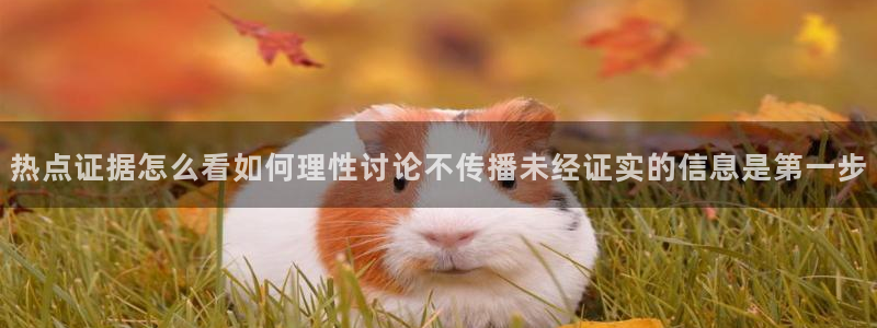 最新黑料当事人回应